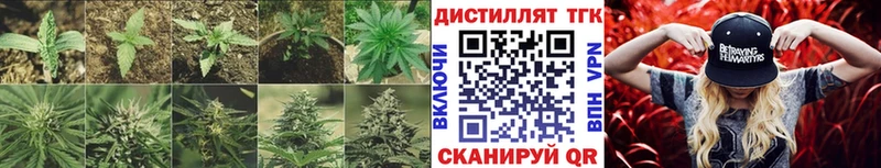 где найти   Тюмень  это телеграм  ТГК жижа 