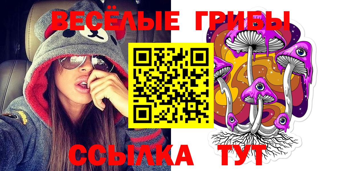 Галлюциногенные грибы Psilocybine cubensis Тюмень