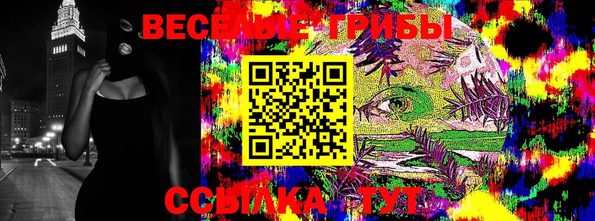Псилоцибиновые грибы Cubensis  Тюмень 